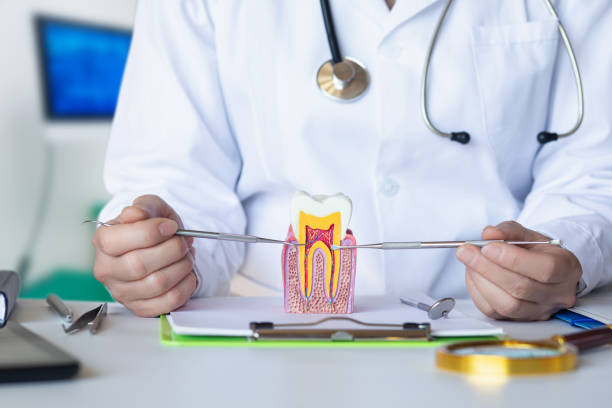 Best Emergency TMJ Treatment in Carnegie, PA
